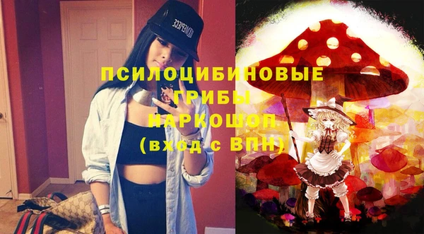 spice Ивангород